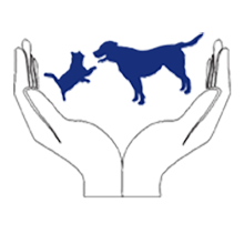 Veterinary-Clinic-of-Pearland-Fav