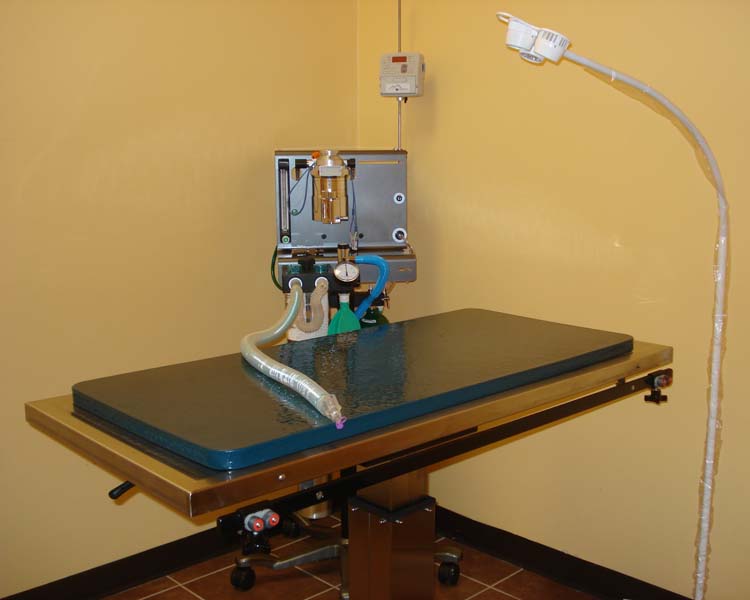 Veterinary Clinic of Pearland Image4