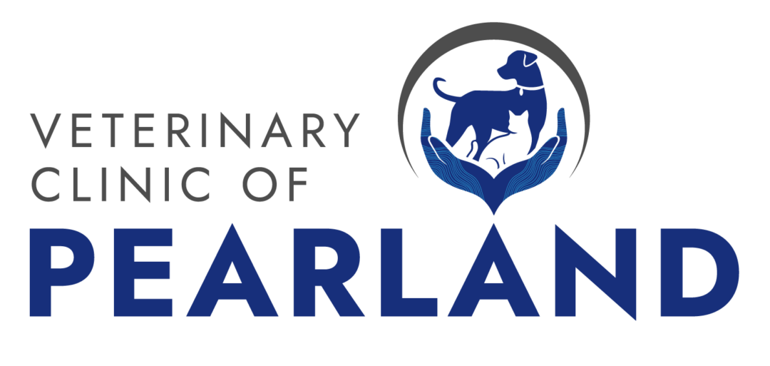 Best Veterinary Clinic In Pearland, TX Veterinary Clinic