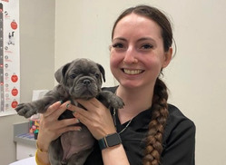 pet breeding dog breeding<br />